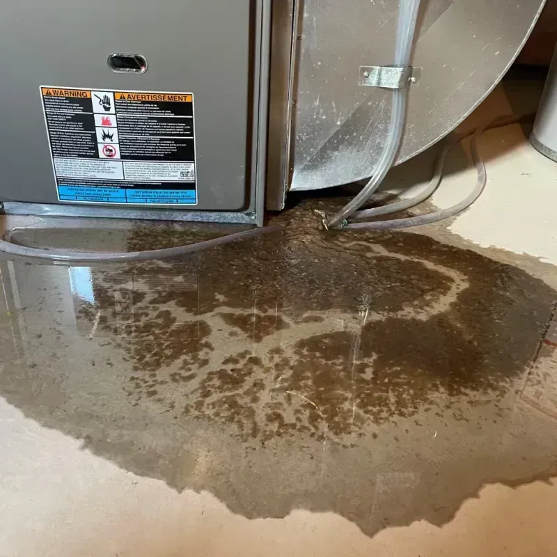 Appliance Leak Cleanup in Marlette, MI